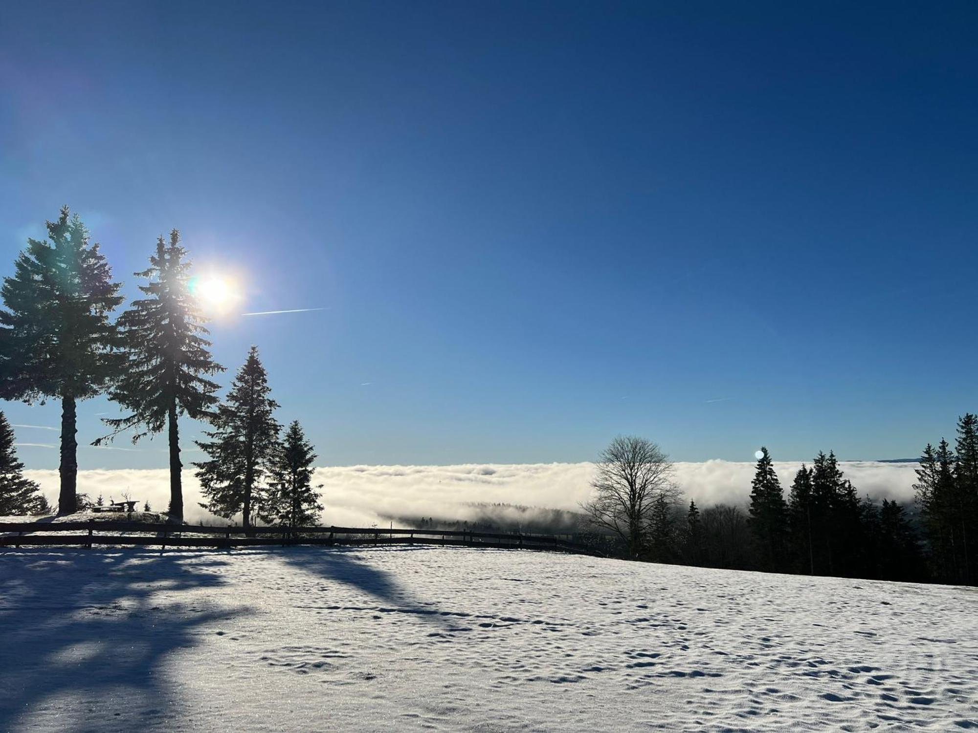 Naturfreundehaus Brend Furtwangen Exterior foto
