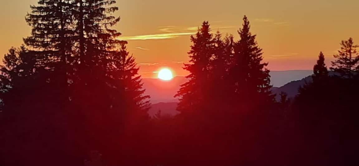 Naturfreundehaus Brend Furtwangen Exterior foto