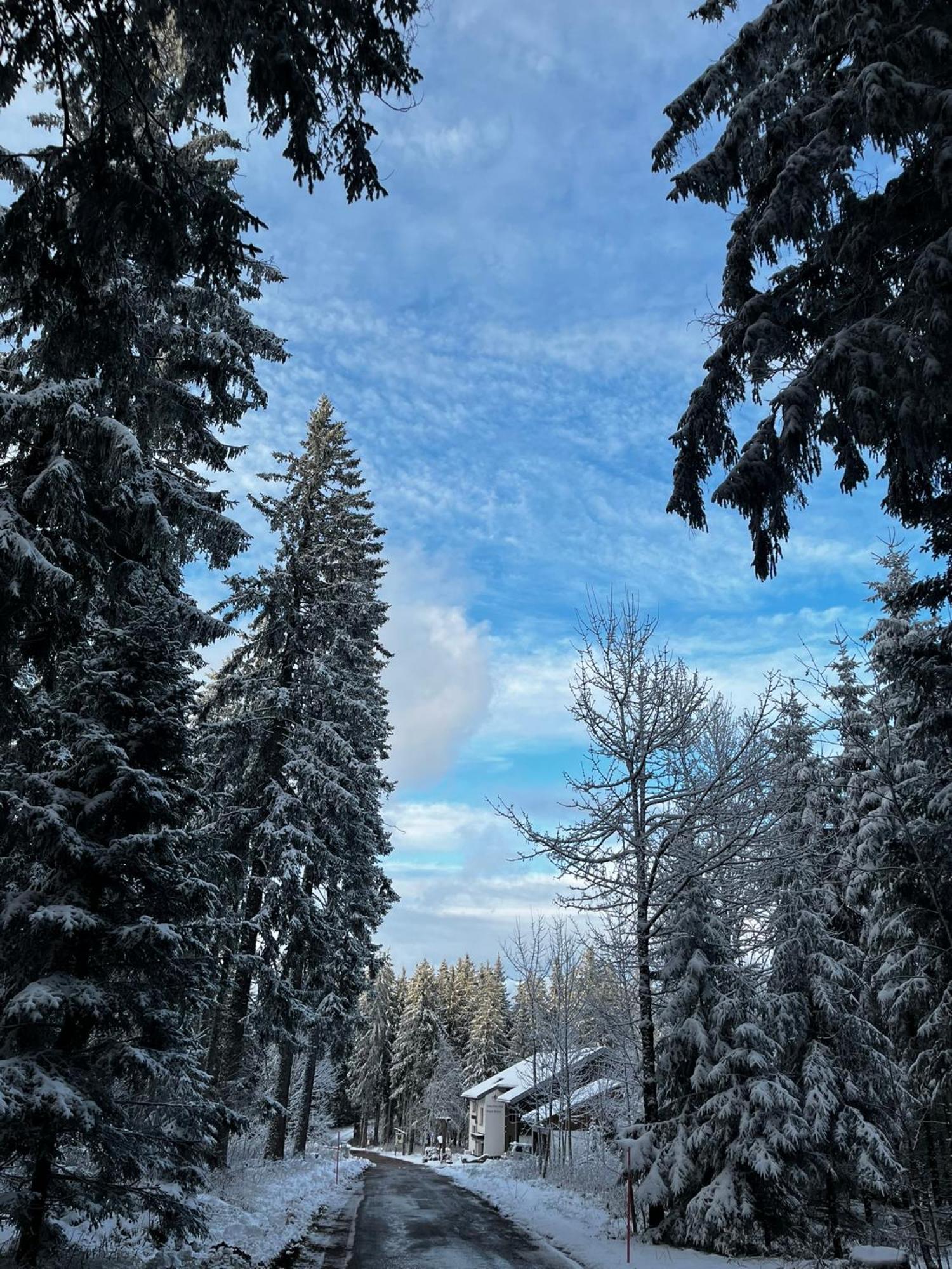 Naturfreundehaus Brend Furtwangen Exterior foto